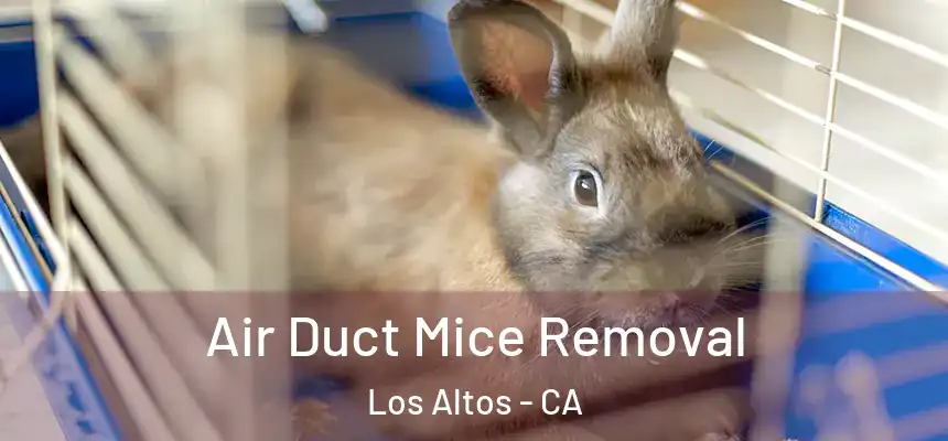  Air Duct Mice Removal Los Altos - CA