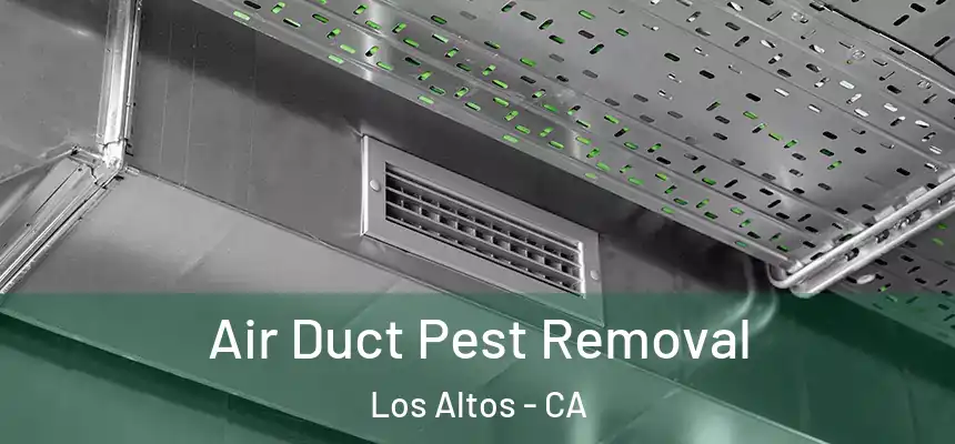 Air Duct Pest Removal Los Altos - CA