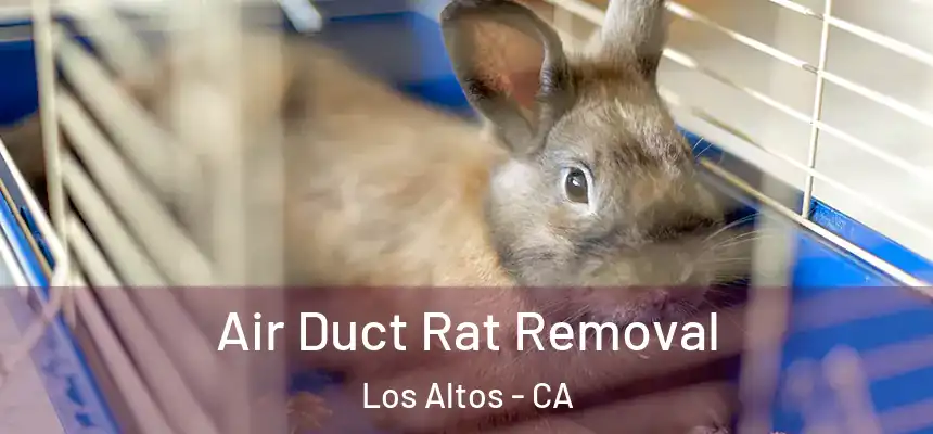Air Duct Rat Removal Los Altos - CA