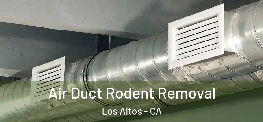Air Duct Rodent Removal Los Altos - CA