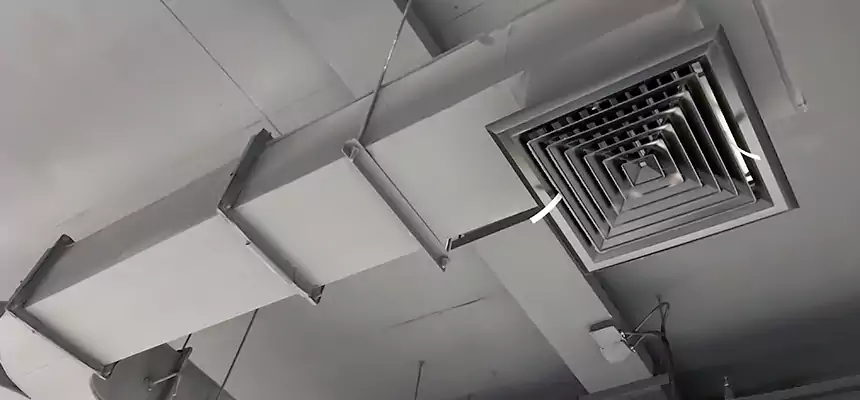 Restorative Allergy Relief Vent Cleaning – Coil, Blower & Housing Detail in Los Altos