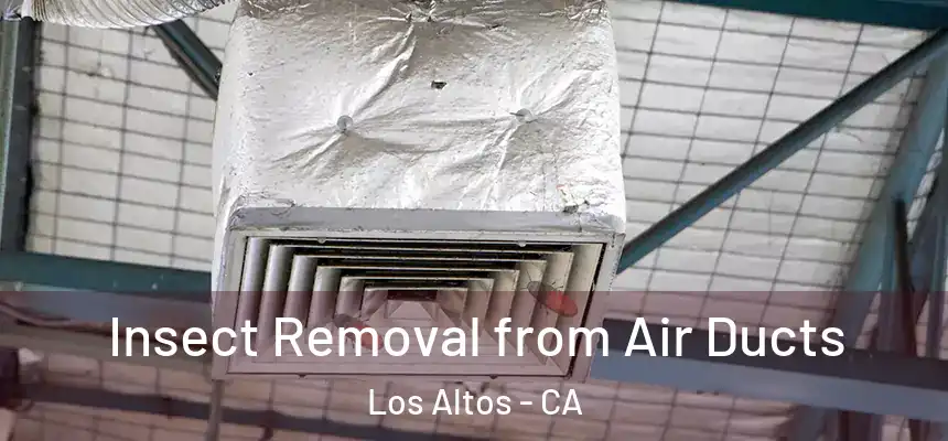 Insect Removal from Air Ducts Los Altos - CA