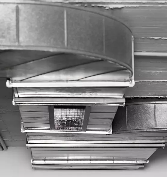 Professional Air Duct Pet Hair Removal in Los Altos, CA