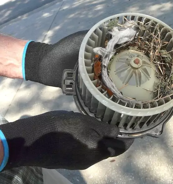 About Air Duct Rat Removal in Los Altos, CA