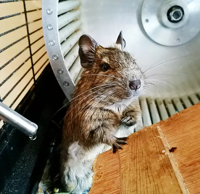 Why Homeowners & Businesses Trust Us Los Altos, CA