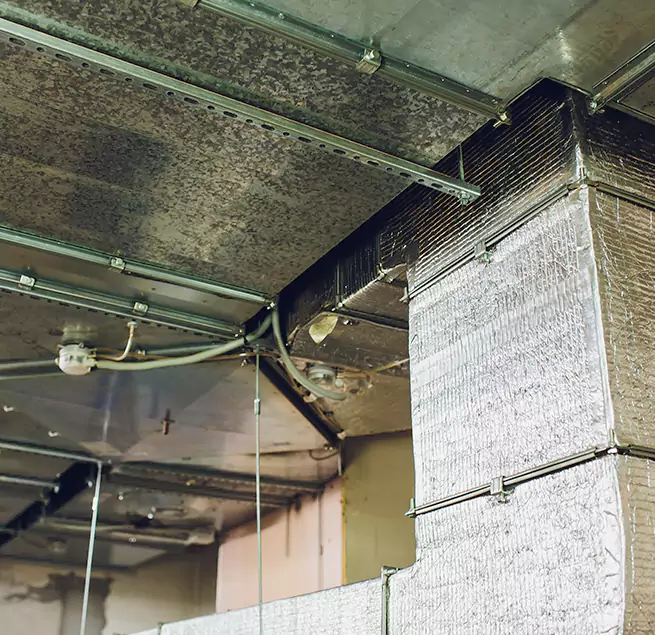 Why Homeowners & Businesses Trust Us in Los Altos, CA?